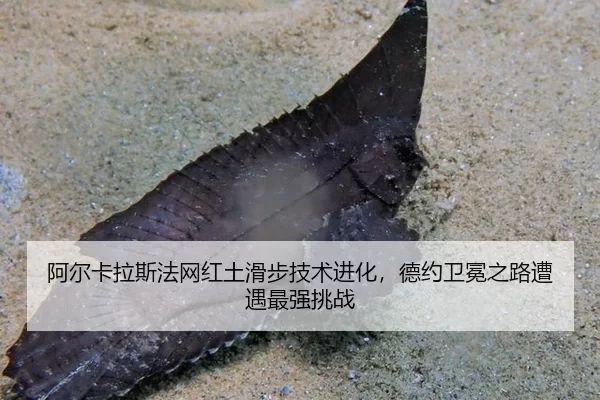 a-er-ka-la-si-fa-wang-hong-tu-hua-bu-ji-shu-jin-hua-de-yue-wei-mian-zhi-lu-zao-yu-zui-qiang-tiao-zhan-2-310.jpg
